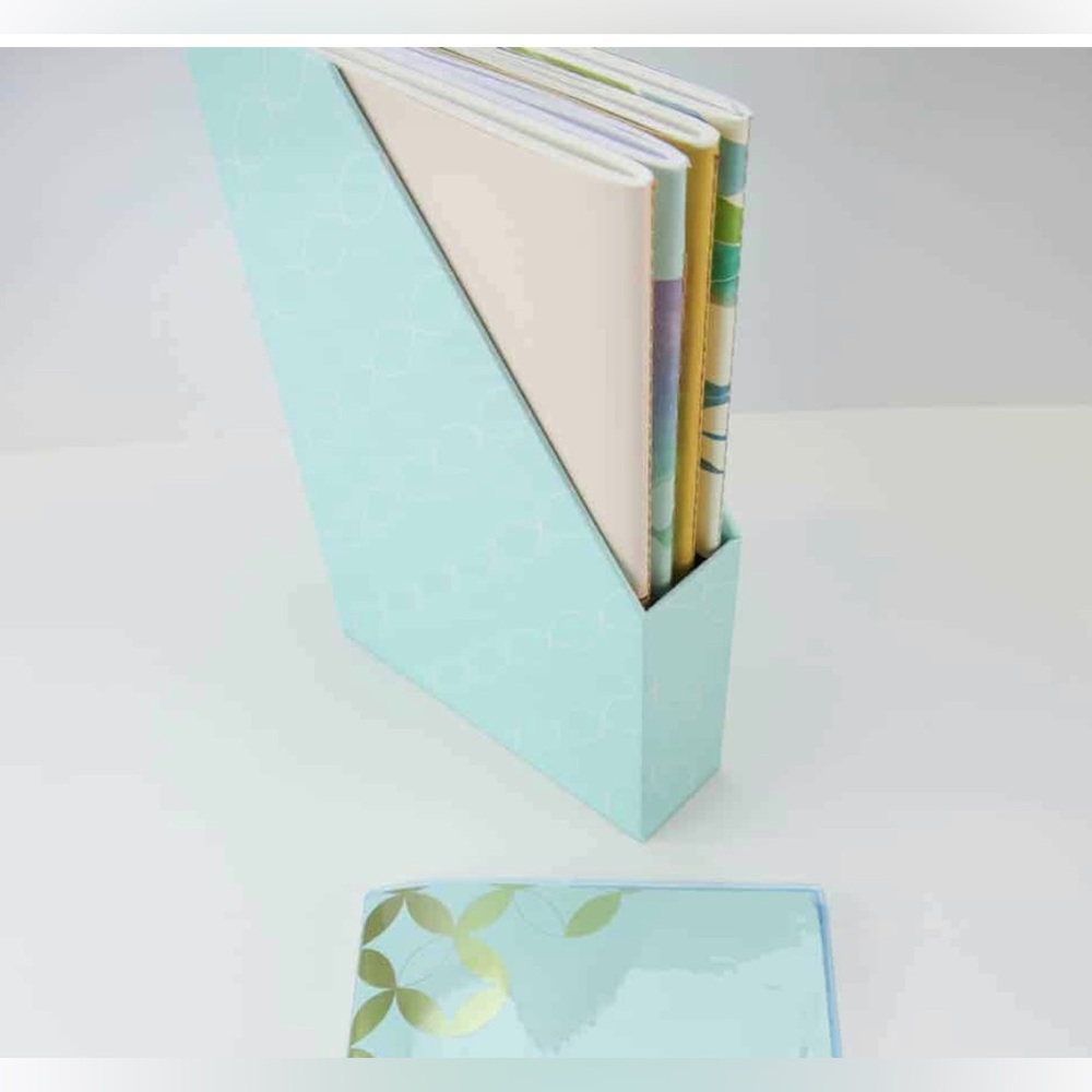 🦋1 Erin condren on the go Petite Planner holder organizer storage box🦋